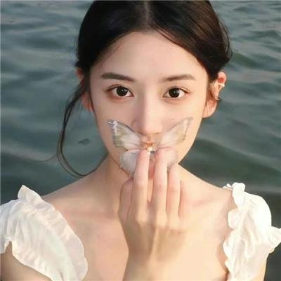 我的朋友是萌鲨