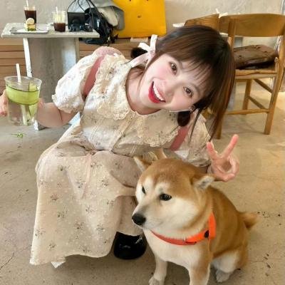 凹凸学园第三季
